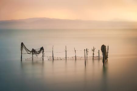 Sunset in LAlbufera