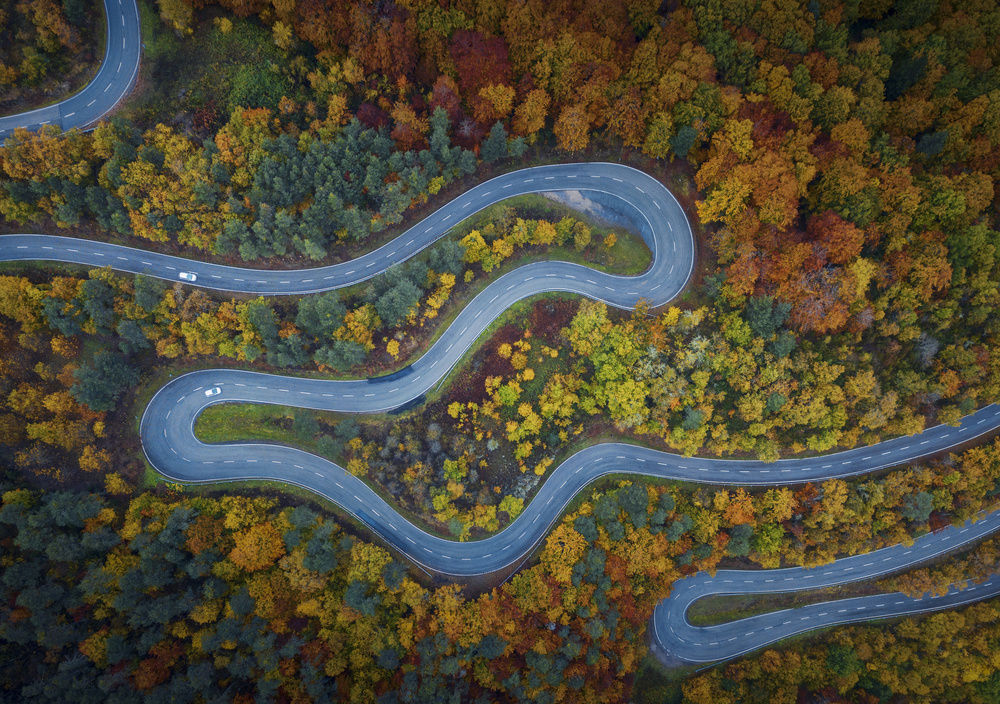 Autumn explodes von Jose Manuel Martin