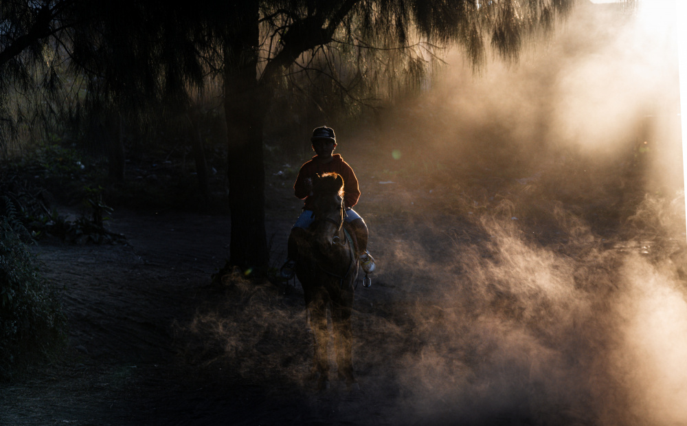 The Cowboy von Joseph Ng