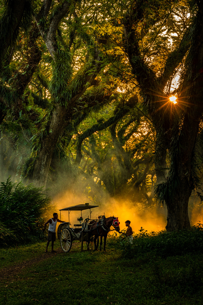 Father and son moments von Joseph Ng