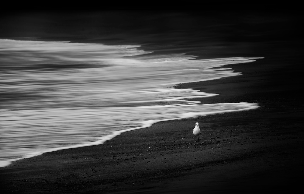 On The Black Sand von Joshua Zhang