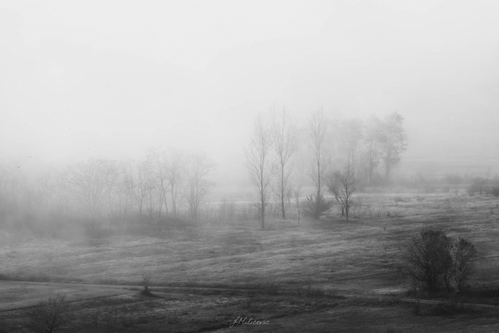 Fogy morning von Josip Milićević