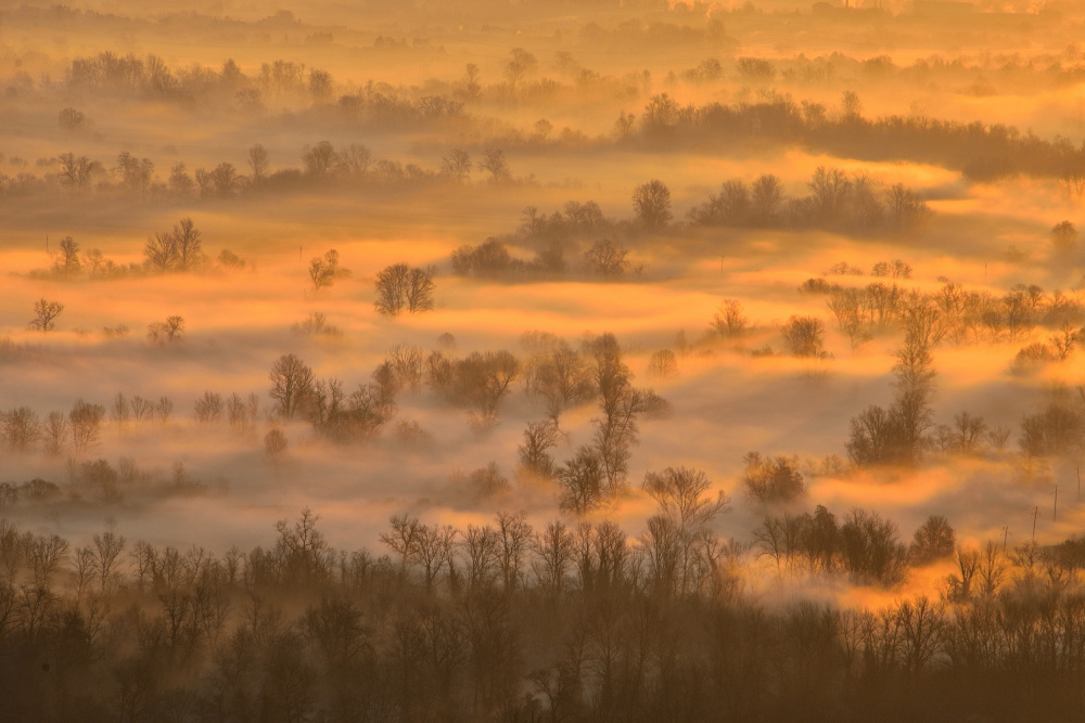 Morning mists von Joško Šimic