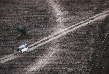 Taken from a balloon-IV (Bagan-Myanmar)