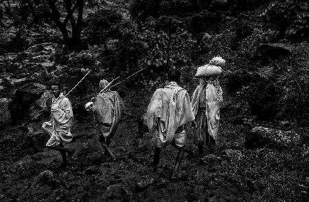 Peasants back from work-VII (Ethiopia)