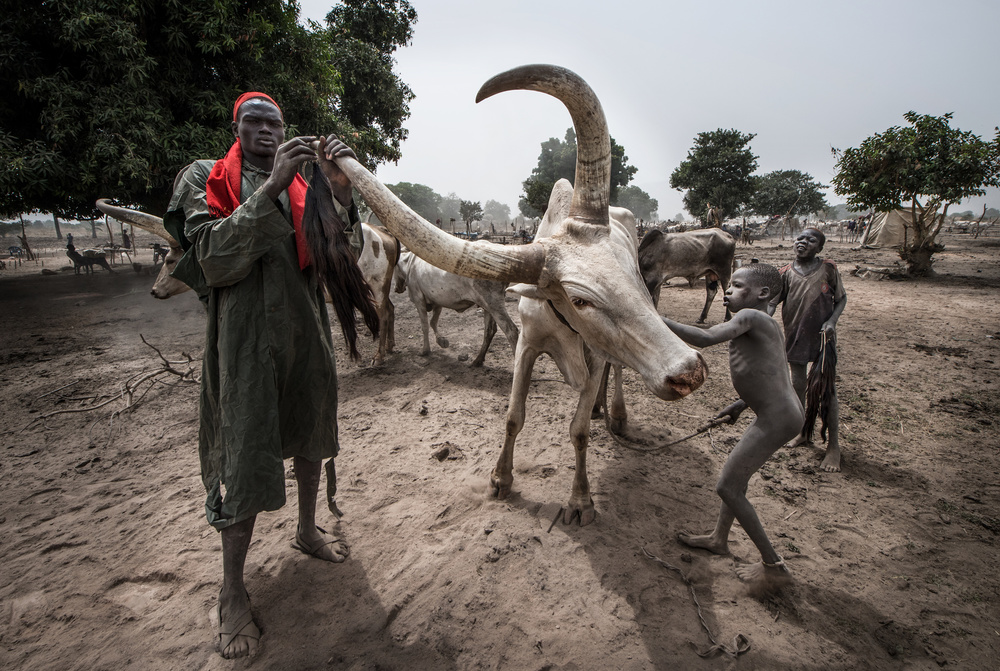 A scene of a Mundari camp-I - South Sudan von Joxe Inazio Kuesta Garmendia