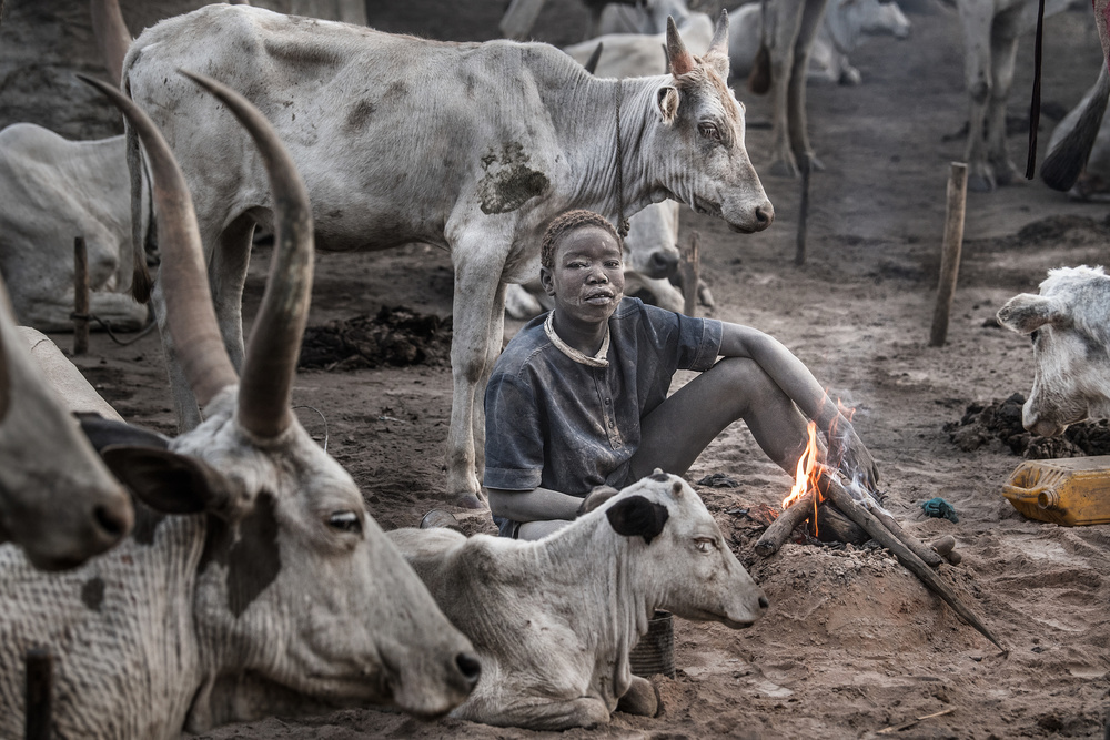 A scene of a Mundari cattle camp-II - South Sudan von Joxe Inazio Kuesta Garmendia