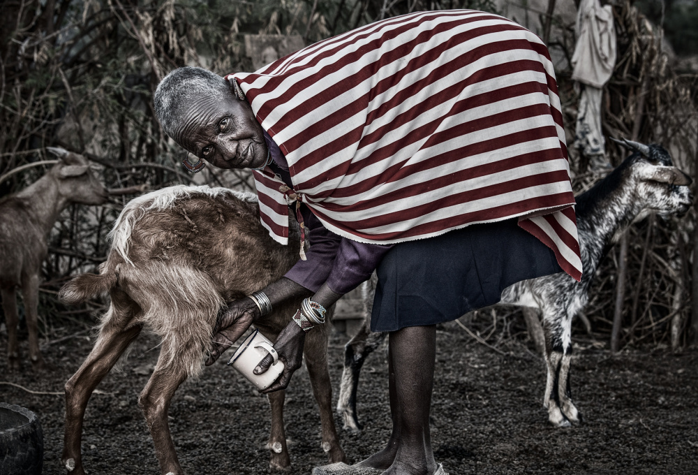 Ilchamus tribe woman milking a goat - Kenya von Joxe Inazio Kuesta Garmendia