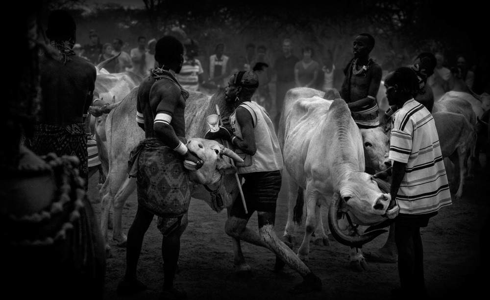 Hamer bull jumping ceremony (Ethiopia). von Joxe Inazio Kuesta Garmendia