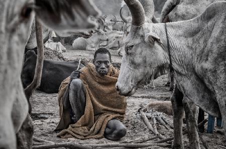 In a Mundari cattle camp - South Sudan