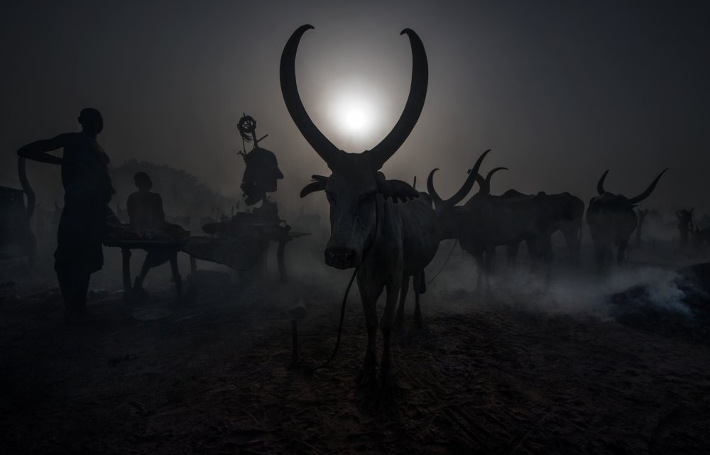 At a Mundari cattle camp - South Sudan von Joxe Inazio Kuesta Garmendia