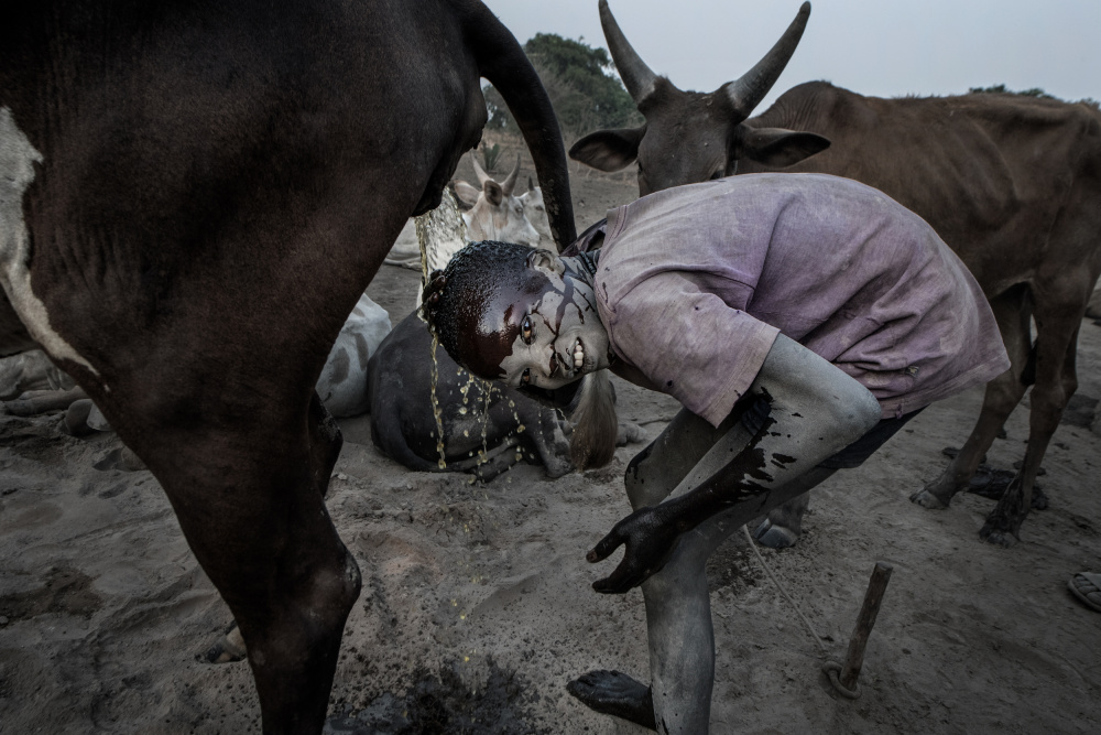 Mundari tribe child cleaning his head with cow urine - South Sudan von Joxe Inazio Kuesta Garmendia