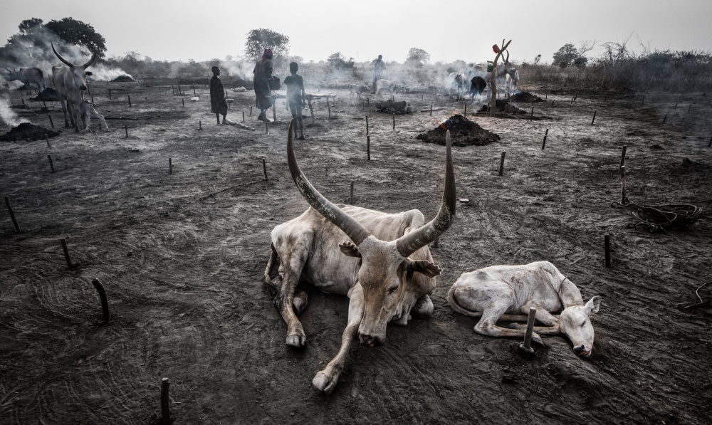 Life in a Mundari cattle camp-VIII - South Sudan von Joxe Inazio Kuesta Garmendia