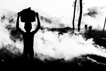 Carrying dung in a mundari cattle camp.