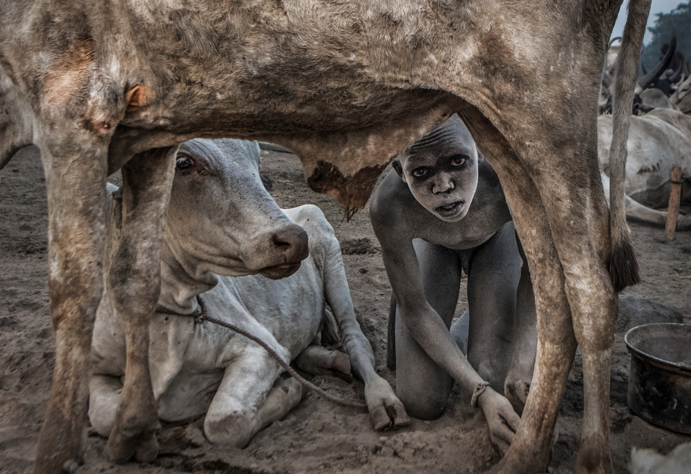 Mundari boy colleting dung - South Sudan von Joxe Inazio Kuesta Garmendia