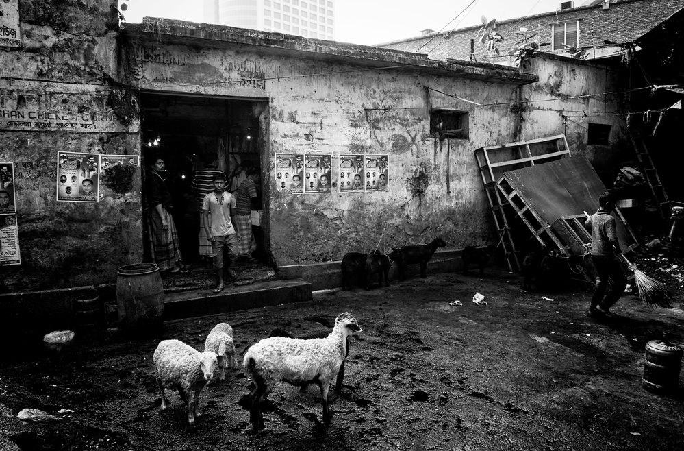 Back of a market in Dakha - Bangladesh von Joxe Inazio Kuesta Garmendia