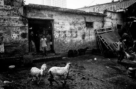 Back of a market in Dakha - Bangladesh