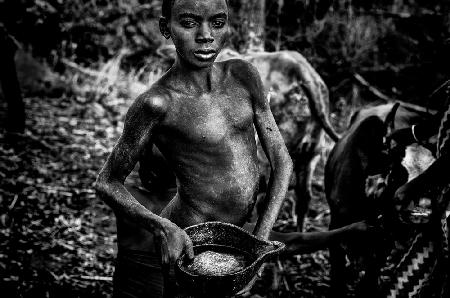 Carrying blood of a calf newly extracted to be drunk-Ethiopia