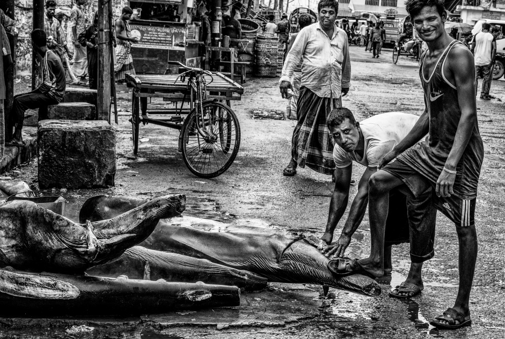 Shark selling point in a market in Bangladesh von Joxe Inazio Kuesta Garmendia