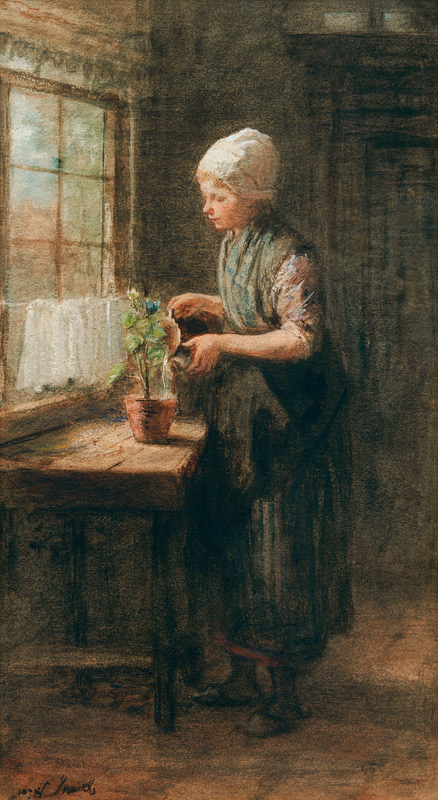 The New Flower von Jozef Israels