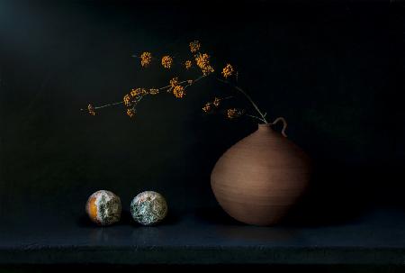 Still Life 2314