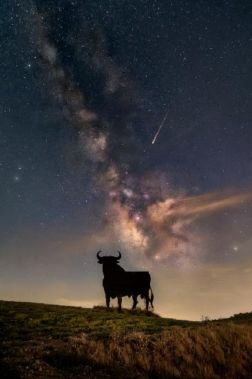 Un toro galáctico...