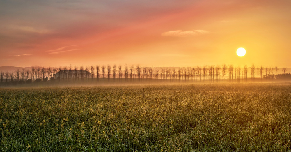 La luz de cada amanecer... von Juan Luis Seco