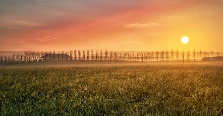 La luz de cada amanecer...