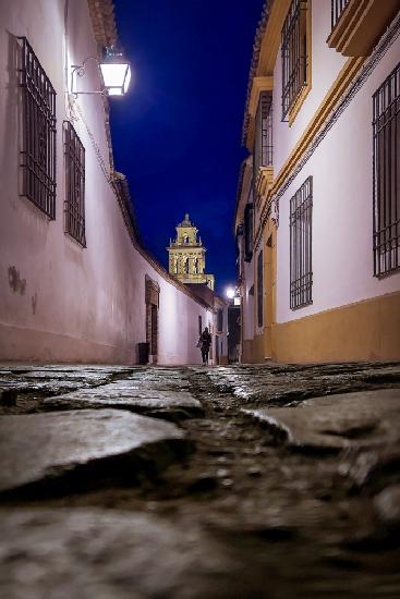 Soñando caminos...