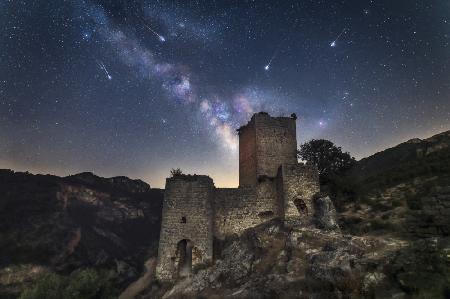 Una lluvia de estrellas...