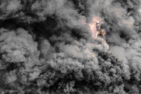 Festival of the Enfarinats, Spain.