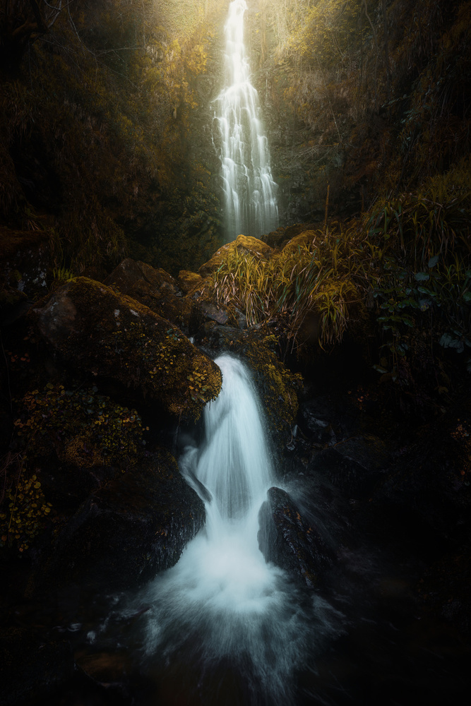 Boscuro 2. von Juan Pablo de Miguel