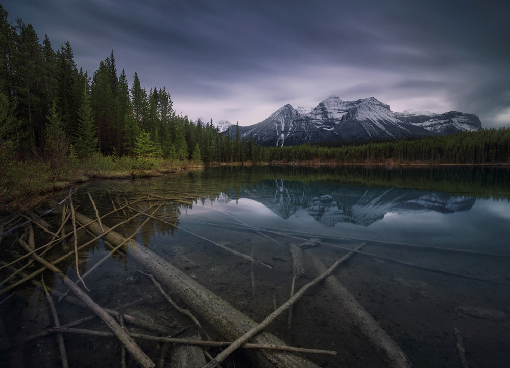 Herbert Lake von Juan Pablo de Miguel