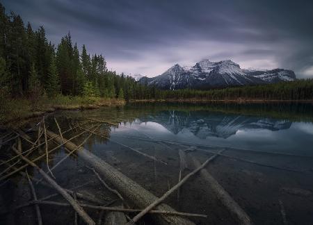 Herbert Lake