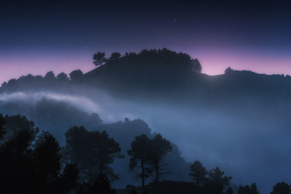 Foggy Sunrise. von Juan Pablo de Miguel