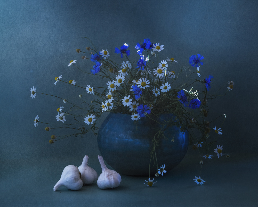 Blue and white von Judy Tseng