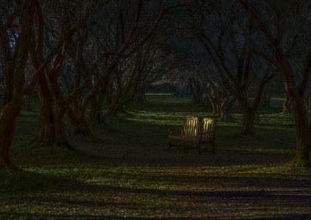 Empty chair