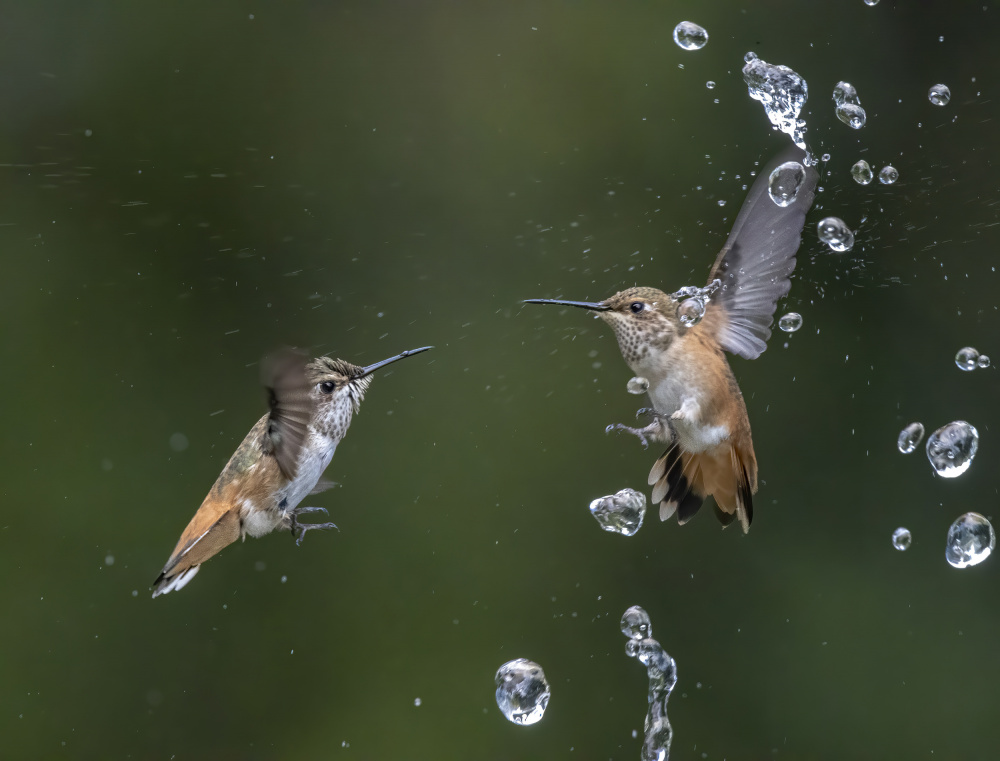 Summer fun von Judy Tseng