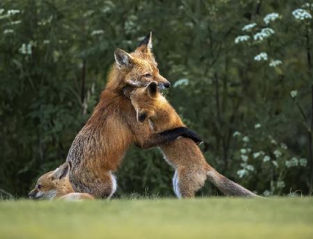 Sweet hug from mommy