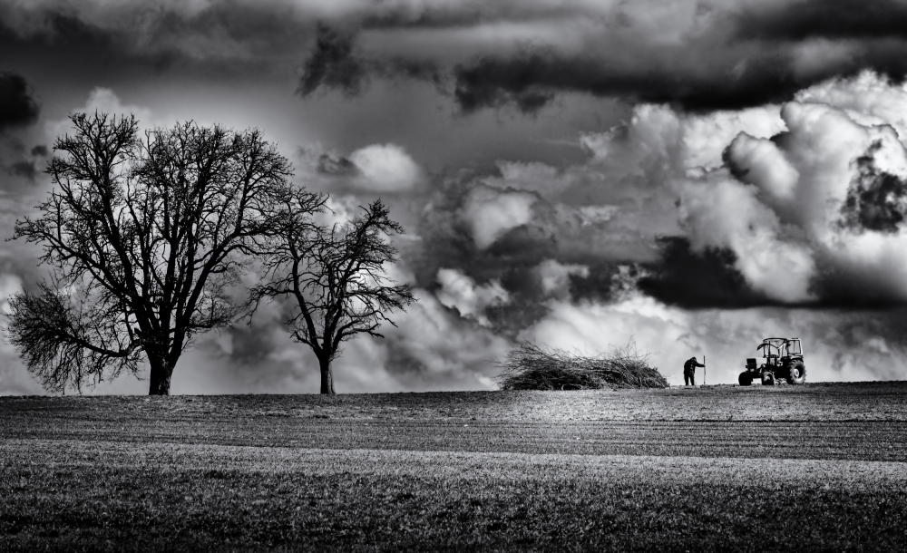 Old man look at my life von Jürgen Hartlieb