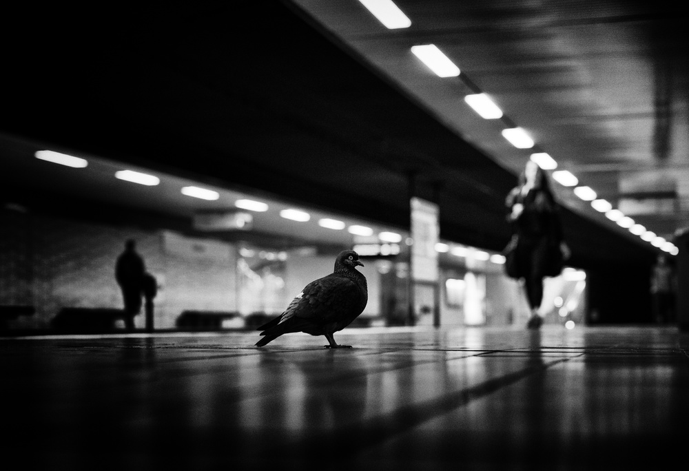 pause between two occurrences von Jürgen Hartlieb