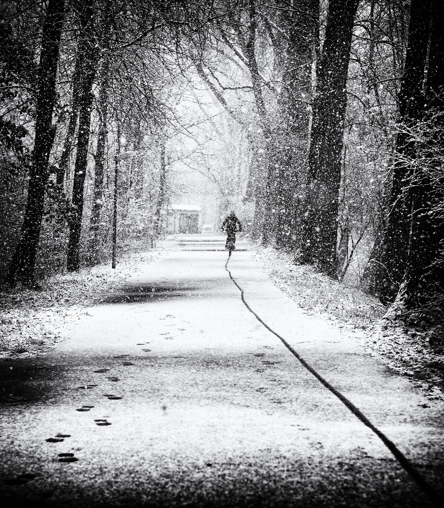 tracks in the snow von Jürgen Hartlieb