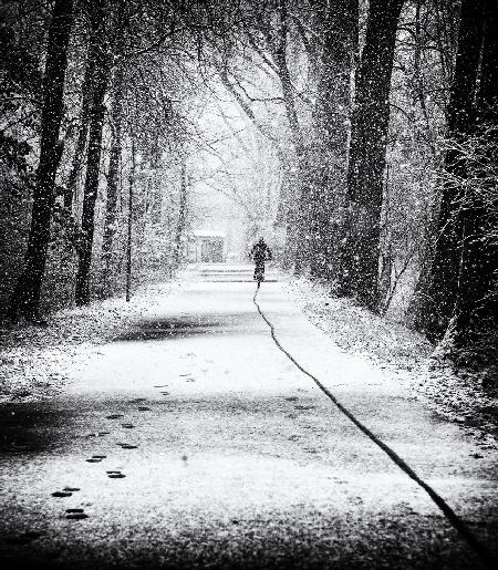 tracks in the snow