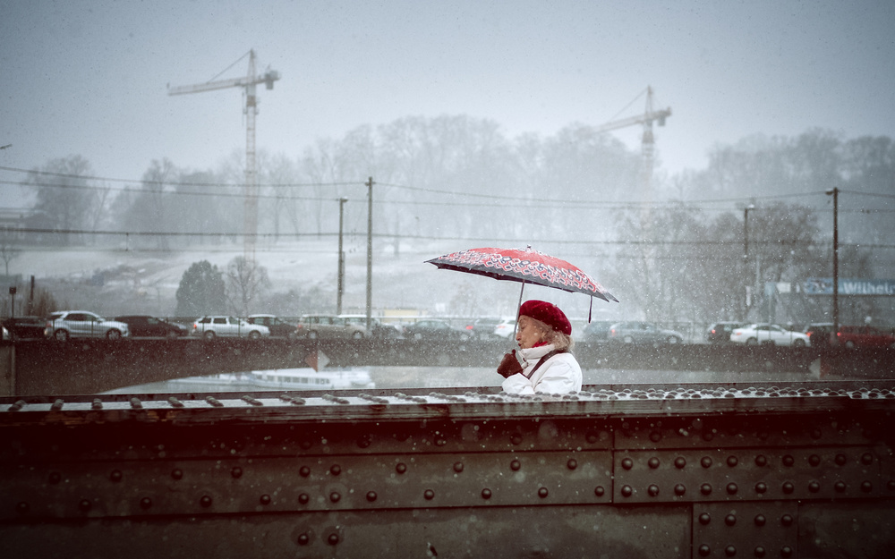 winter picture II von Jürgen Hartlieb