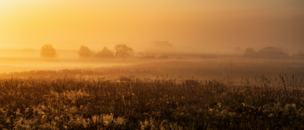 MorningMood von Jürgen Muß