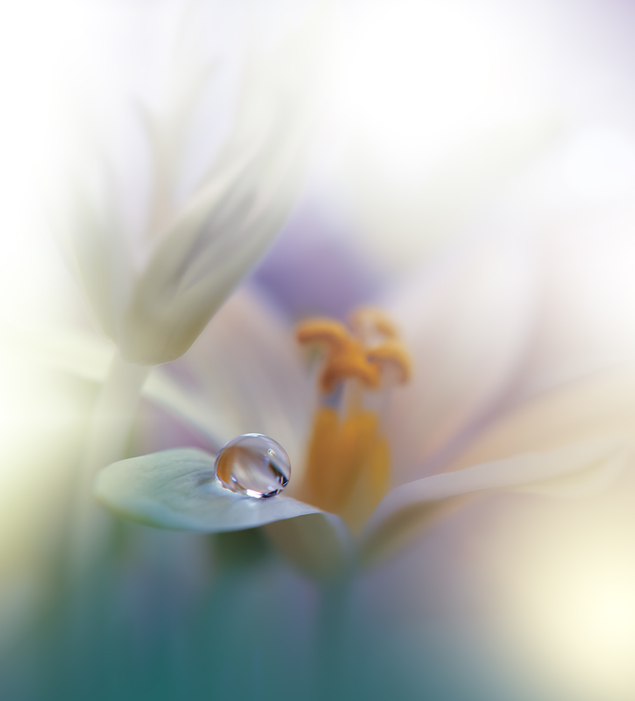 All of Me... von Juliana Nan