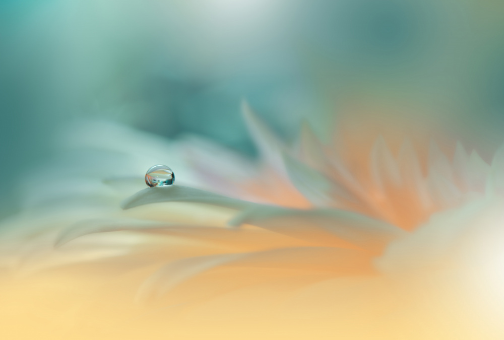 Breathe in the Light...III von Juliana Nan