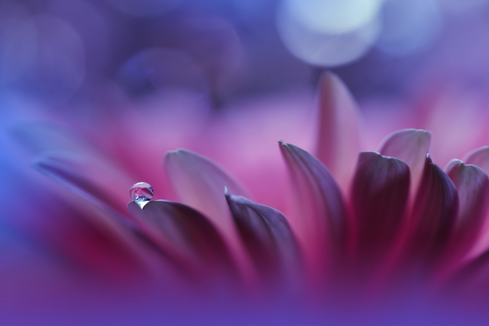 Blossoming Heart...II von Juliana Nan