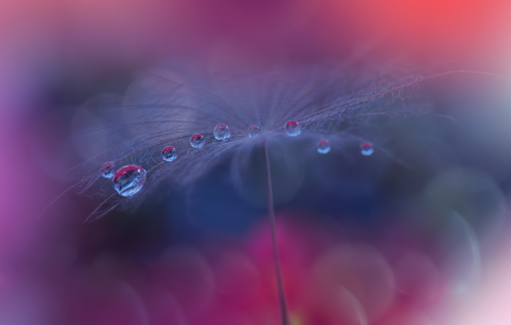 The Tears of Heaven...III von Juliana Nan