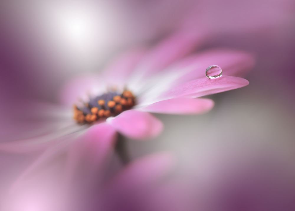 Echoes of Hope...II von Juliana Nan